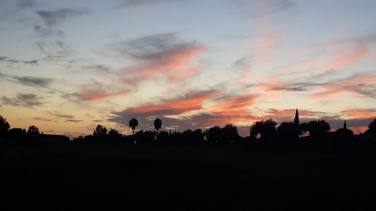 WhatsApp Image 2025-05-23 at 19.02.10 (6)