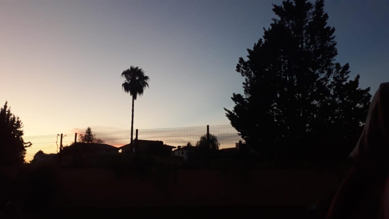 WhatsApp Image 2025-05-23 at 19.02.10 (7)