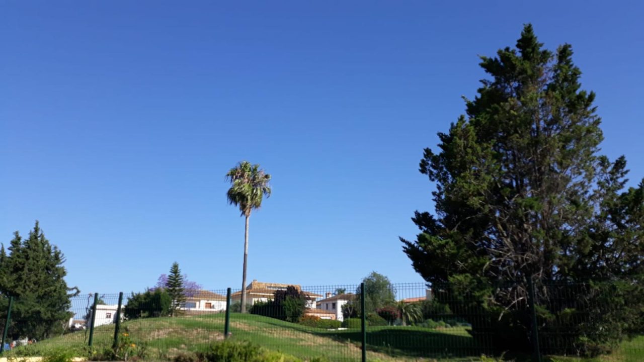 WhatsApp Image 2025-05-23 at 19.02.10 (8)